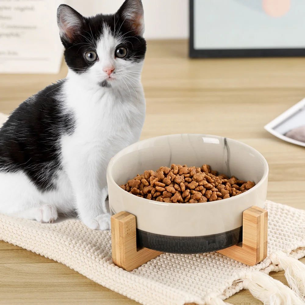 Dog food feeder ceramic cat and dog bowl with wooden support, no overflow pet food water feeder cat and dog bowl
Dog food feeder ceramic cat and dog bowl with wooden support, no overflow pet food water feeder cat and dog bowl