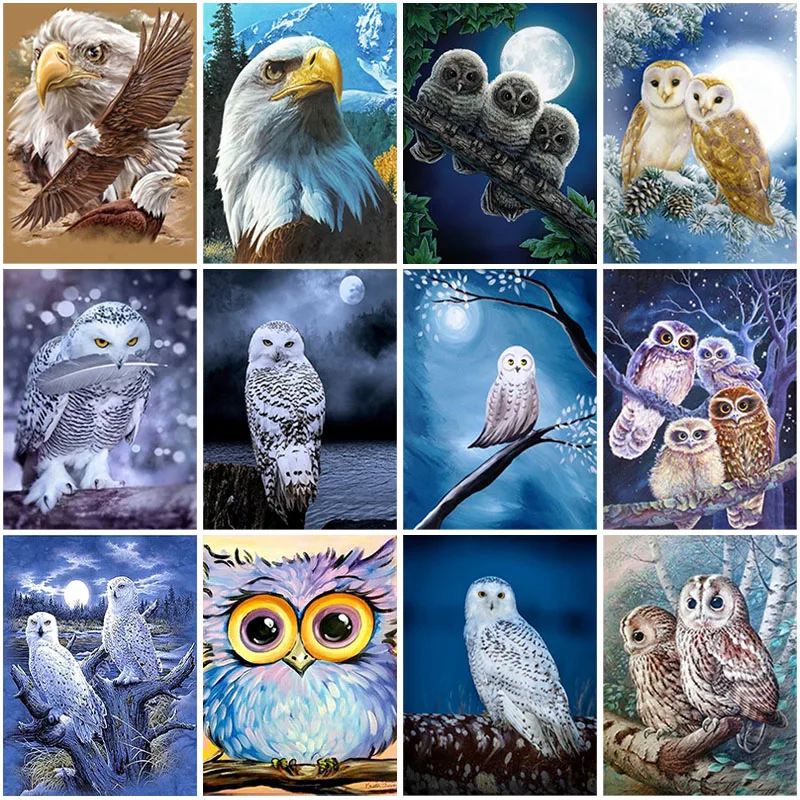 DIY Owl 5D Diamond Painting Full Square Drill Resin Bird Diamond Embroidery Cross Stitch Kits Mosaic Wall Art Home Decor Gift
DIY Owl 5D Diamond Painting Full Square Drill Resin Bird Diamond Embroidery Cross Stitch Kits Mosaic Wall Art Home Decor Gift