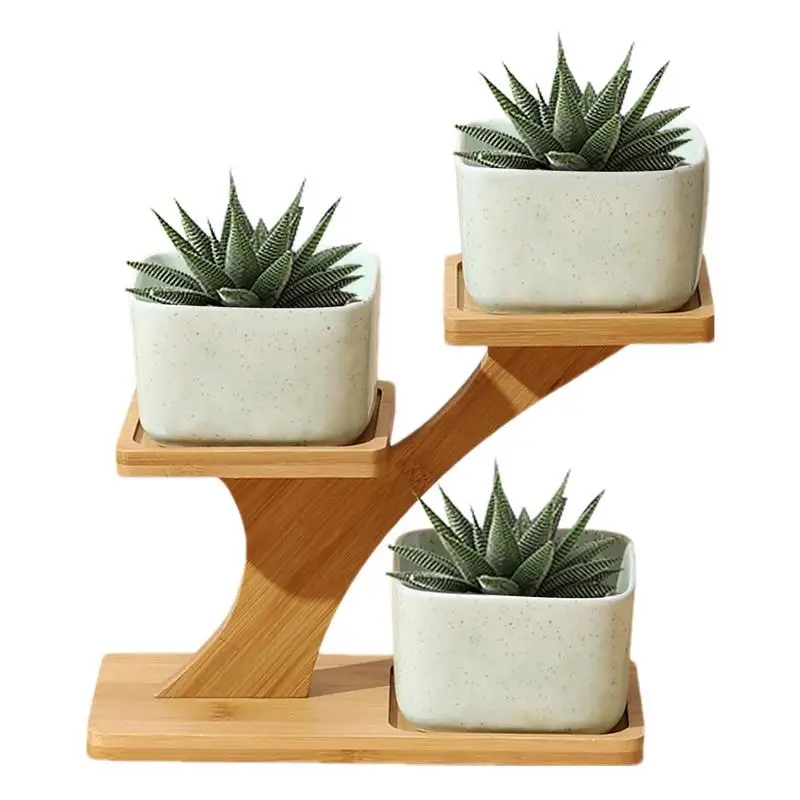 3 Tier Small Wooden Plant Pot Display Stand Multifunctional Desktop Storage Shelf Succulent Green Plant Display Rack Decoration
3 Tier Small Wooden Plant Pot Display Stand Multifunctional Desktop Storage Shelf Succulent Green Plant Display Rack Decoration