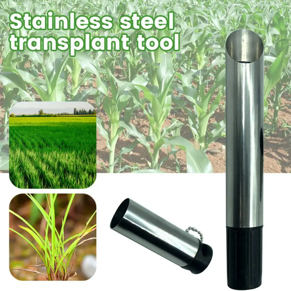 Новый инструмент для цветочного горшка, садовая лампа из нержавеющей стали, сельскохозяйственный инструмент для пересадки, инструмент для экстракции садовых растений для пересадки
Новый инструмент для цветочного горшка, садовая лампа из нержавеющей стали, сельскохозяйственный инструмент для пересадки, инструмент для экстракции садовых растений для пересадки