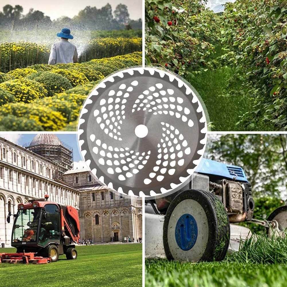 Saw Blade Grass Trimmer Head Cutter Brushwood 1pcs 225*25.4*1.2mm 36T 9inch Manganese Steel For Garden Trimmer
Saw Blade Grass Trimmer Head Cutter Brushwood 1pcs 225*25.4*1.2mm 36T 9inch Manganese Steel For Garden Trimmer
