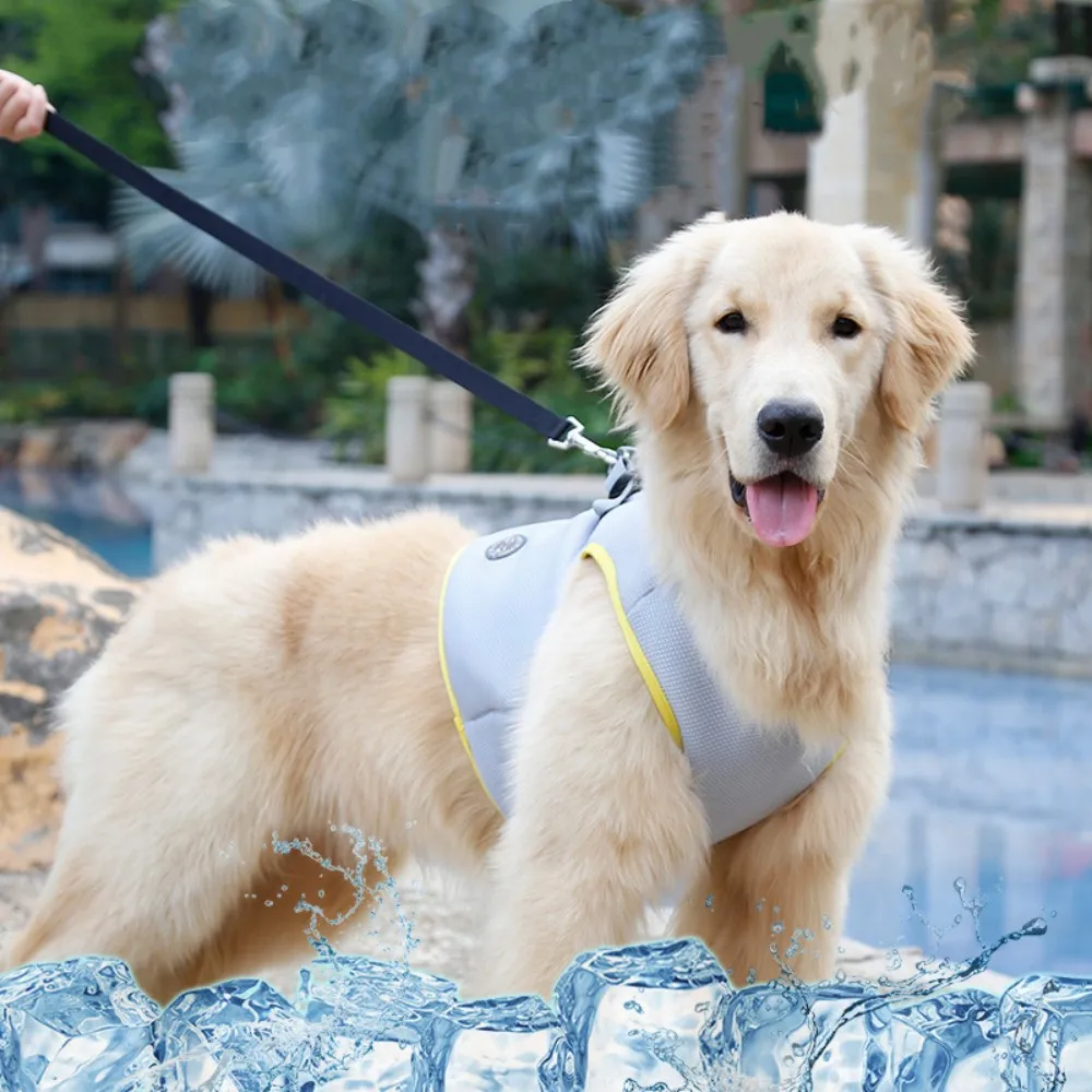 Cooling Harness For Dogs Summer Dog Cooling Vest Clothes Adjustable Mesh Reflective Vest Coat Quick Release Pet Dog Clothes
Cooling Harness For Dogs Summer Dog Cooling Vest Clothes Adjustable Mesh Reflective Vest Coat Quick Release Pet Dog Clothes