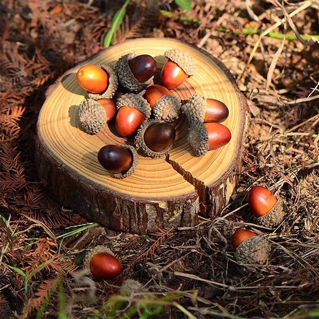 Accessories Best Durable High Quality New Practical Usefully Acorn Artificial 3*1.9cm Fake Fruit Lifelike Party
Accessories Best Durable High Quality New Practical Usefully Acorn Artificial 3*1.9cm Fake Fruit Lifelike Party