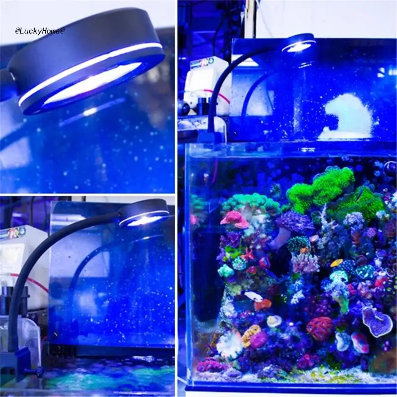 11UA Aquarium LED Light 12W LEDs for Saltwater Fish Tanks Full Spectrum Coral-Tanks Aquarium Light with Clip Adjustable Hose-
11UA Aquarium LED Light 12W LEDs for Saltwater Fish Tanks Full Spectrum Coral-Tanks Aquarium Light with Clip Adjustable Hose-