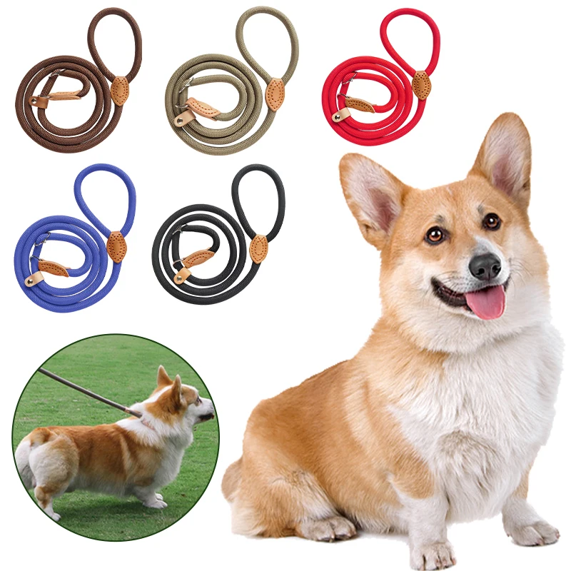 Safety Pet Leash Strong Nylon Dog Leash for Medium Large Dogs daily Outdoor Walkig Training Leashes Accesorios Para Perros
Safety Pet Leash Strong Nylon Dog Leash for Medium Large Dogs daily Outdoor Walkig Training Leashes Accesorios Para Perros