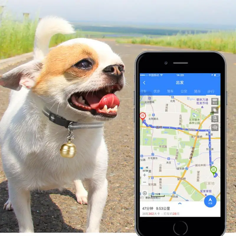 Новый IP67 водонепроницаемый ошейник для домашних животных GPS Wifi LBS мини GPS трекер для домашних животных собак кошек крупного рогатого скота о...
Новый IP67 водонепроницаемый ошейник для домашних животных GPS Wifi LBS мини GPS трекер для домашних животных собак кошек крупного рогатого скота о...
