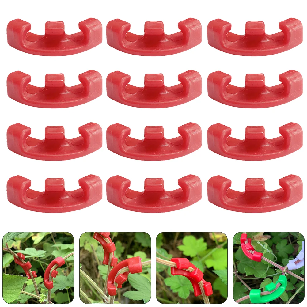 30pcs Plastic Plant Branch Benders 90 Degree Plant Benders Plant Bending Clips
30pcs Plastic Plant Branch Benders 90 Degree Plant Benders Plant Bending Clips