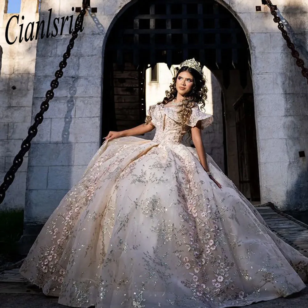 Quinceanera Dresses For Sweet 16 Girl Appliques Princess Ball Gowns vestidos de quinceaneras Custom Made
Quinceanera Dresses For Sweet 16 Girl Appliques Princess Ball Gowns vestidos de quinceaneras Custom Made