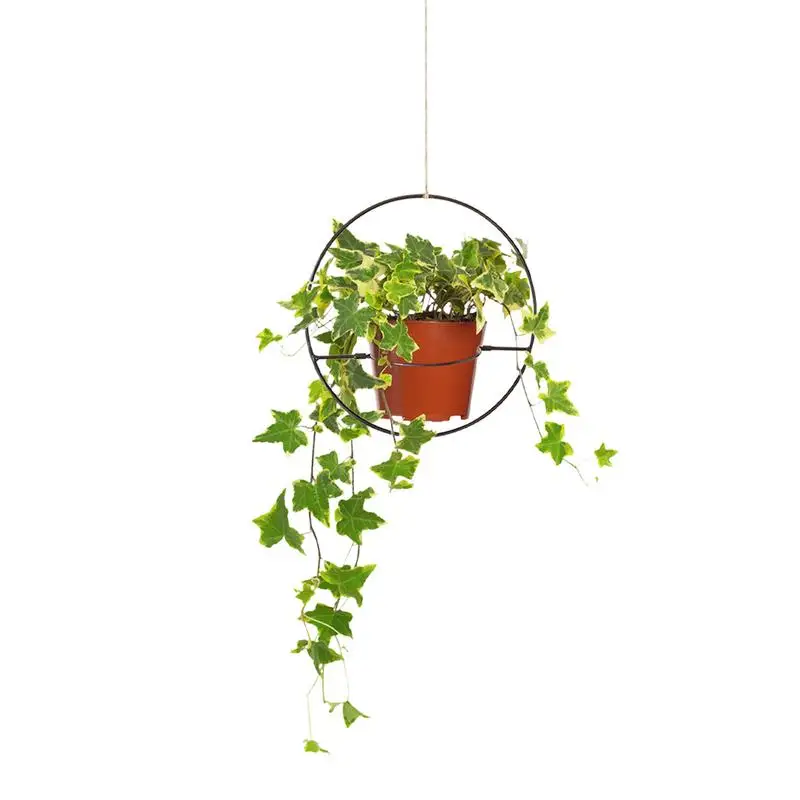 Planter Basket Modern Plant Hanger Indoor Round Black Metal Flower Pots Holder Plant Baskets Minimalist Wall And Ceiling Plant
Planter Basket Modern Plant Hanger Indoor Round Black Metal Flower Pots Holder Plant Baskets Minimalist Wall And Ceiling Plant