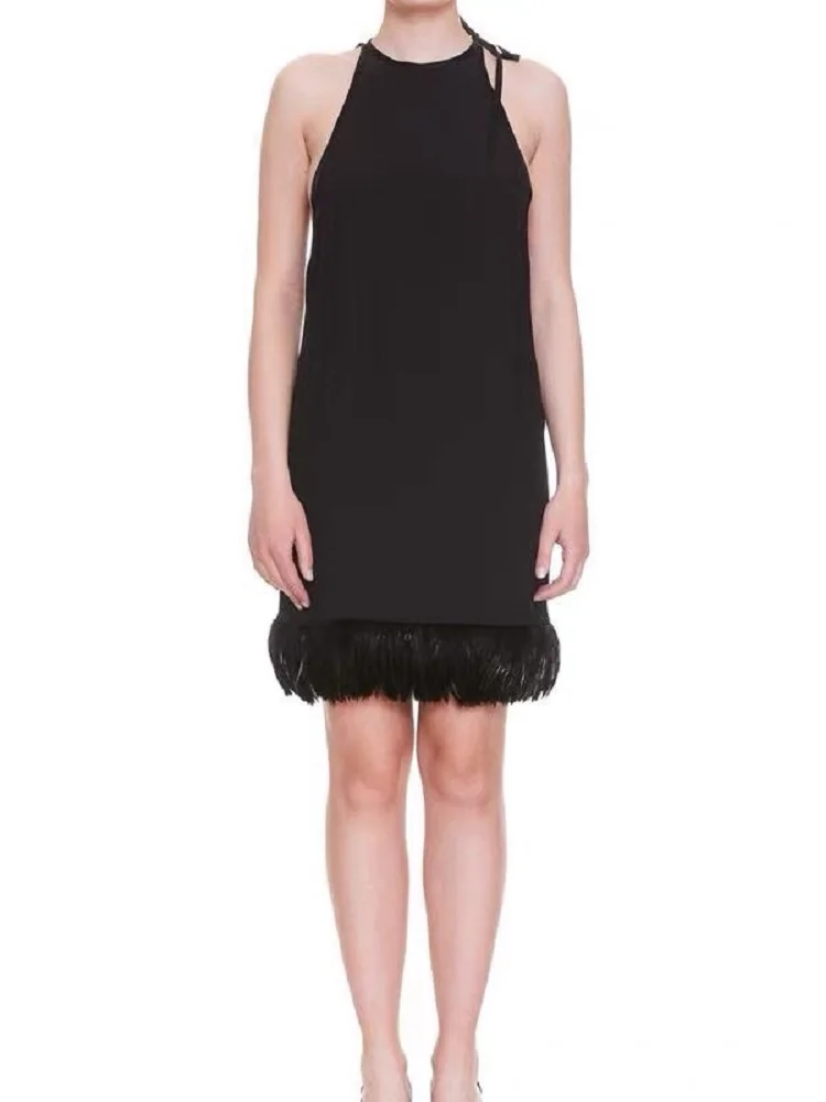 2023 summer women's satin splicing feathers tight -fitting corset women's vest dresses y2k clothes new high -quality skirt traf
2023 summer women's satin splicing feathers tight -fitting corset women's vest dresses y2k clothes new high -quality skirt traf