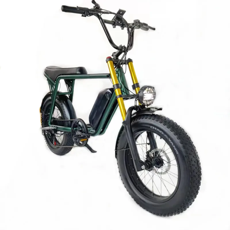 RoadAcc 48V 500W 13AH Electric Motorcycle Bicycles For Adults Cool Snow Mountain Ebike 20 Inch Fatbike Shimano 7 speed Bike
RoadAcc 48V 500W 13AH Electric Motorcycle Bicycles For Adults Cool Snow Mountain Ebike 20 Inch Fatbike Shimano 7 speed Bike