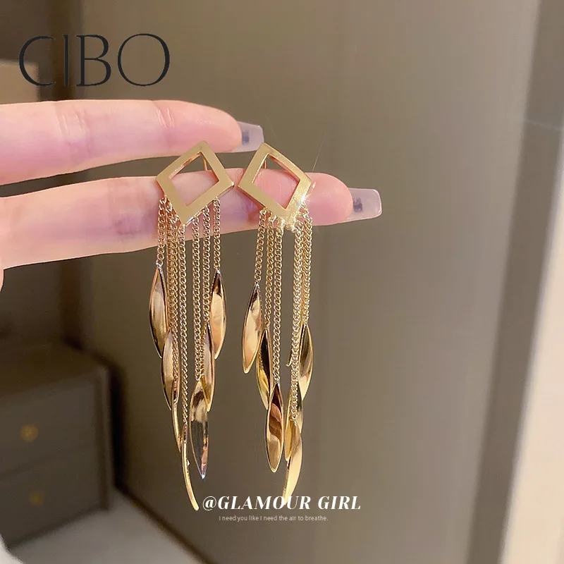 Silver Needle Exaggerated Design Sense Diamond Tassel Earrings Trend Personality Long Metal Style Earrings Fashion Earrings
Silver Needle Exaggerated Design Sense Diamond Tassel Earrings Trend Personality Long Metal Style Earrings Fashion Earrings