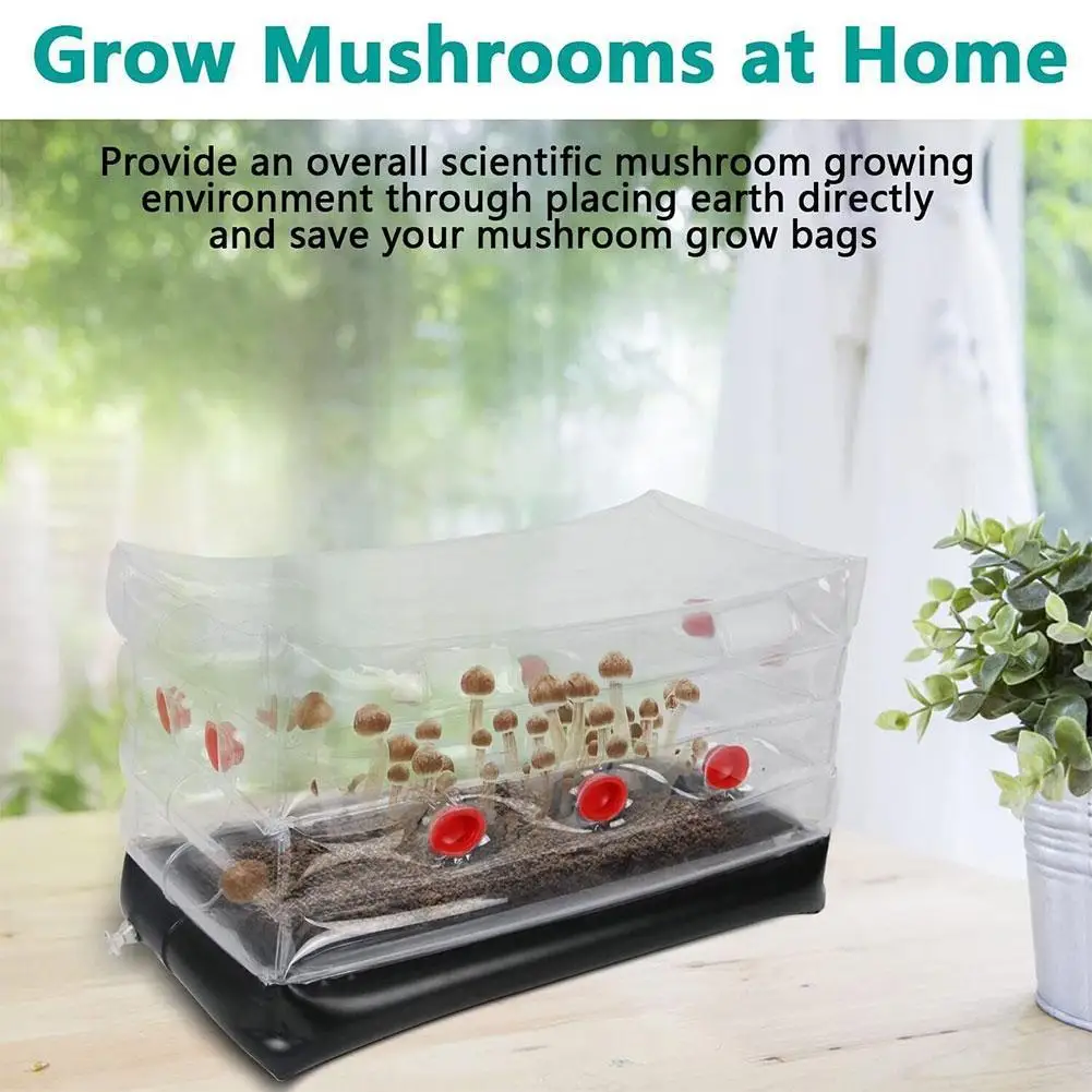

Round Mushroom Monotub Kit-Inflatable Mushroom Grow Bag with Plugs and Filters for Fresh Air Exchange,Garden Mushroom Grow
