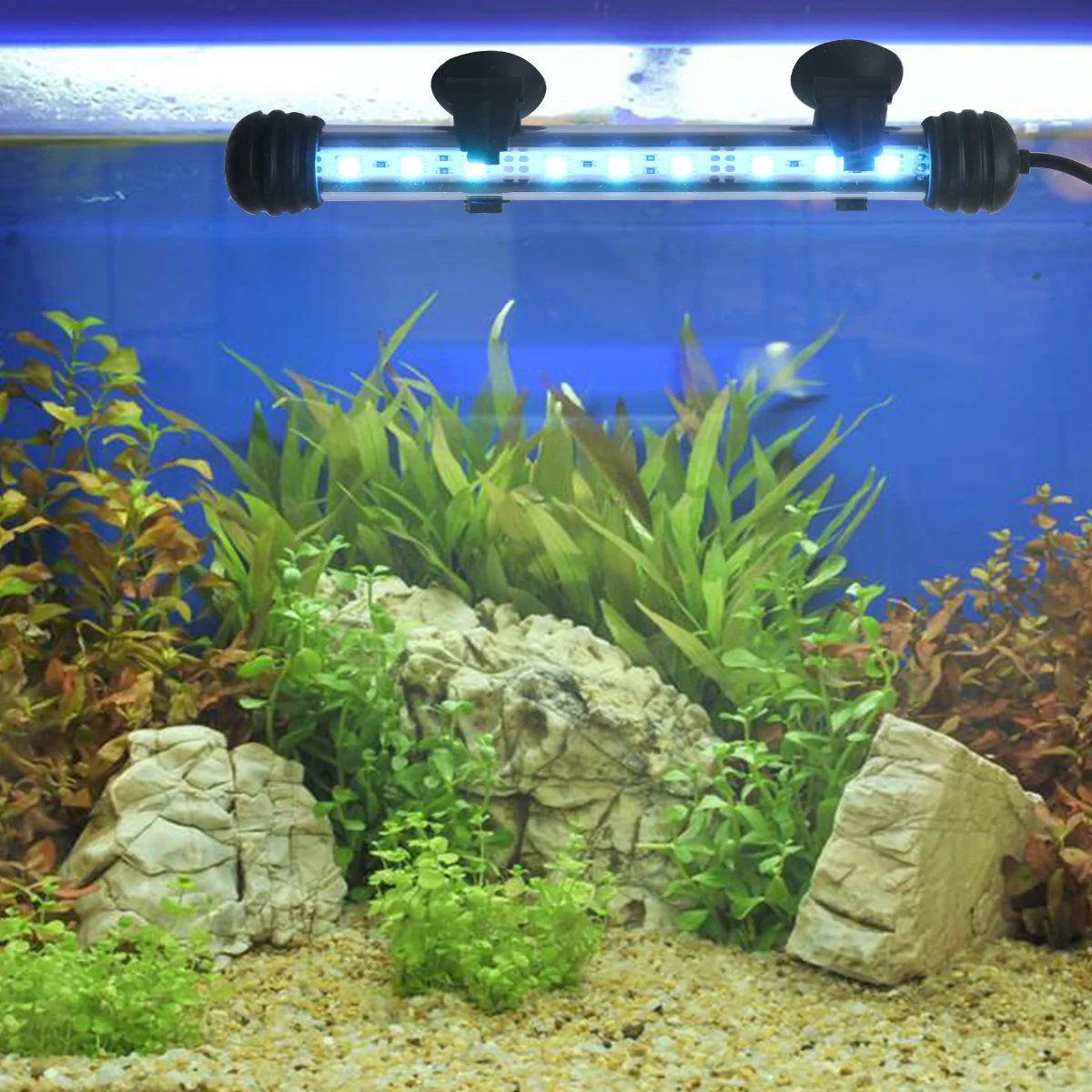 1 Set Highlight Aquarium Lamp Waterproof LED Lighting Lamp Colorful Dimming Light Fish Tank Lighting Lamp for Fish Tank (19cm
1 Set Highlight Aquarium Lamp Waterproof LED Lighting Lamp Colorful Dimming Light Fish Tank Lighting Lamp for Fish Tank (19cm