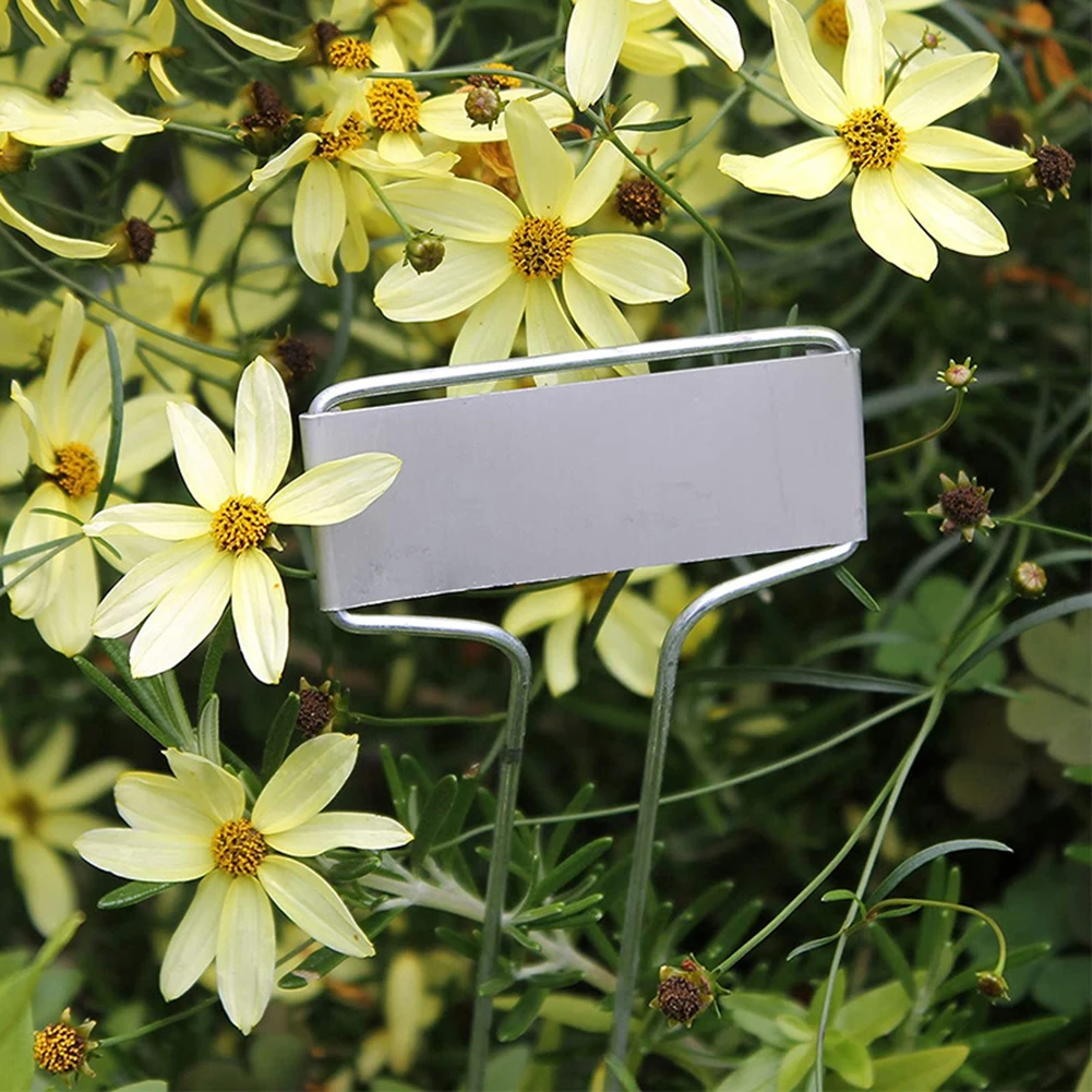 Garden Stake Plant Labels Stake Tags Waterproof Copper Aluminum Courtyard Garden Garden Decoration Metal Plate
Garden Stake Plant Labels Stake Tags Waterproof Copper Aluminum Courtyard Garden Garden Decoration Metal Plate