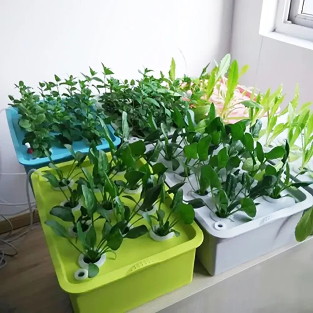 Holes Hydroponic Kit with Oxygen Indoor Garden Cabinet Box Bubble Nursery Pots Cultivation Box 220V/110V 1 Set
Holes Hydroponic Kit with Oxygen Indoor Garden Cabinet Box Bubble Nursery Pots Cultivation Box 220V/110V 1 Set