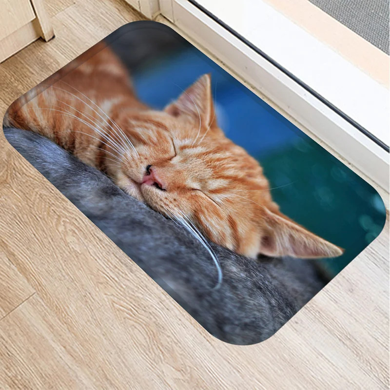 Doormat For Entrance Door Funny Cat Printed Anti-Slip Home Decor Home Decor Coral Fleece Rug For Living Room Bath Mats Carpet
Doormat For Entrance Door Funny Cat Printed Anti-Slip Home Decor Home Decor Coral Fleece Rug For Living Room Bath Mats Carpet