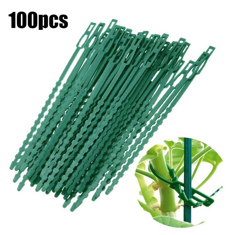 50/100Pcs Adjustable Green Gardening Vine Climbing Plants Tie Yard Plant Bonsai Flower Cucumber Grape Rattan Supports Plant Ties
50/100Pcs Adjustable Green Gardening Vine Climbing Plants Tie Yard Plant Bonsai Flower Cucumber Grape Rattan Supports Plant Ties