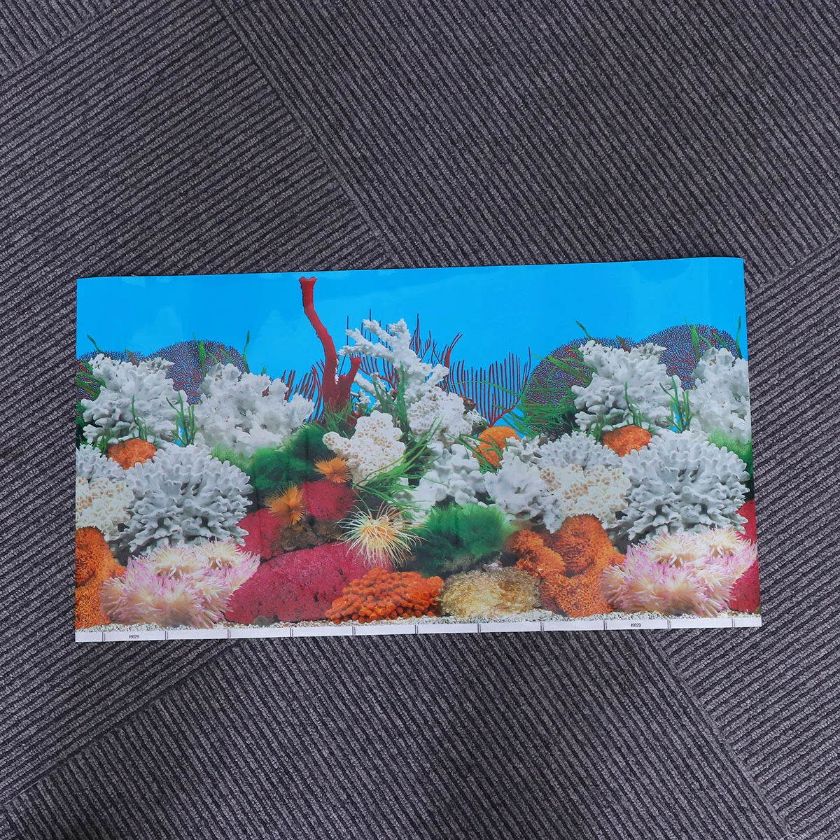 1 Pc Decorative Picture Fish Tank Background Sticker 10 Gallon Fish Tank Background Fish Tank Background
1 Pc Decorative Picture Fish Tank Background Sticker 10 Gallon Fish Tank Background Fish Tank Background