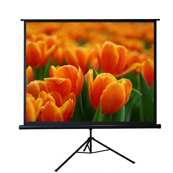 Best quality 60-120 Inch Waterproof tripod stand projector screen for outdoor video projector
Best quality 60-120 Inch Waterproof tripod stand projector screen for outdoor video projector