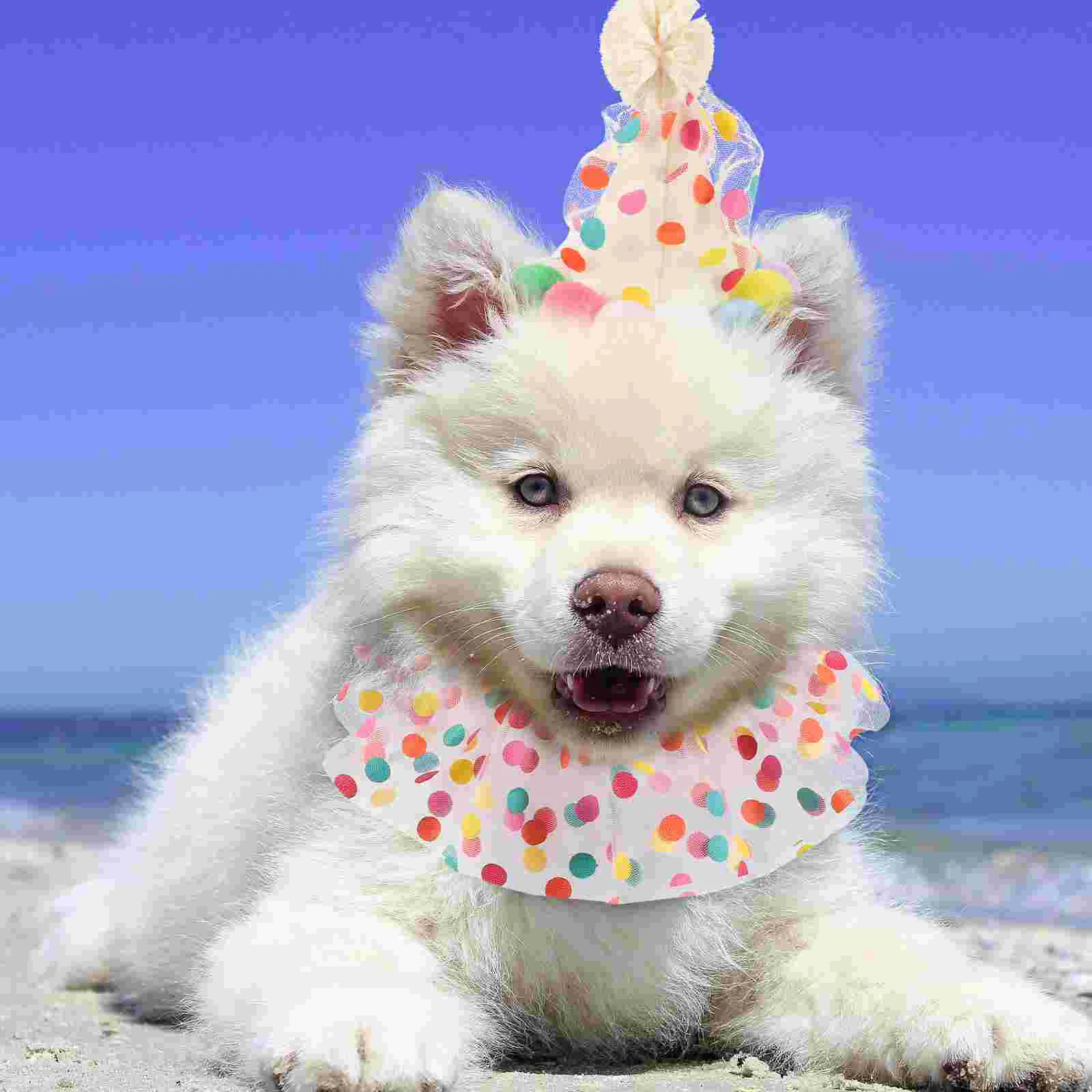 Pet Birthday Hat Xmas Scarf For Dog Portable Collar Party Decoration Christmas Lace
Pet Birthday Hat Xmas Scarf For Dog Portable Collar Party Decoration Christmas Lace