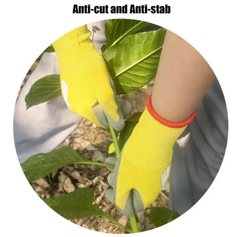 Wear-resistant Childrens Latex Gloves Polyester Material Non-slip Childrens Fun Protective Gloves Stab-resistant Coating
Wear-resistant Childrens Latex Gloves Polyester Material Non-slip Childrens Fun Protective Gloves Stab-resistant Coating