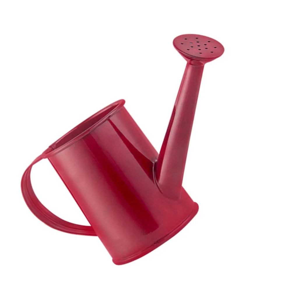 Watering Can Metal Pot Garden Sprinkler Water Flower Bucket Gardening Kettle Tool Bottle Vase Indoor Iron Spout Kids Portable
Watering Can Metal Pot Garden Sprinkler Water Flower Bucket Gardening Kettle Tool Bottle Vase Indoor Iron Spout Kids Portable