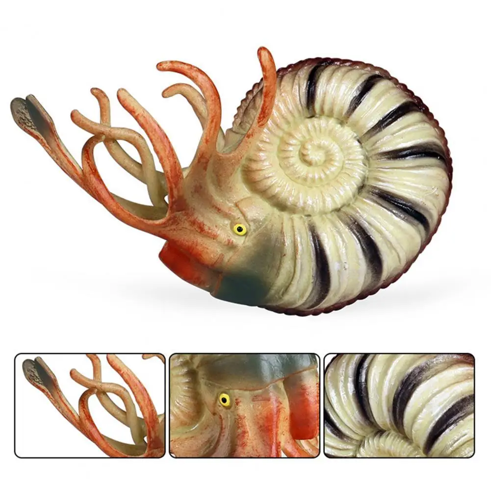 Полезная имитация морских животных, морских фигурок, модель наутилуса, микро-Декор, яркий цвет
Полезная имитация морских животных, морских фигурок, модель наутилуса, микро-Декор, яркий цвет