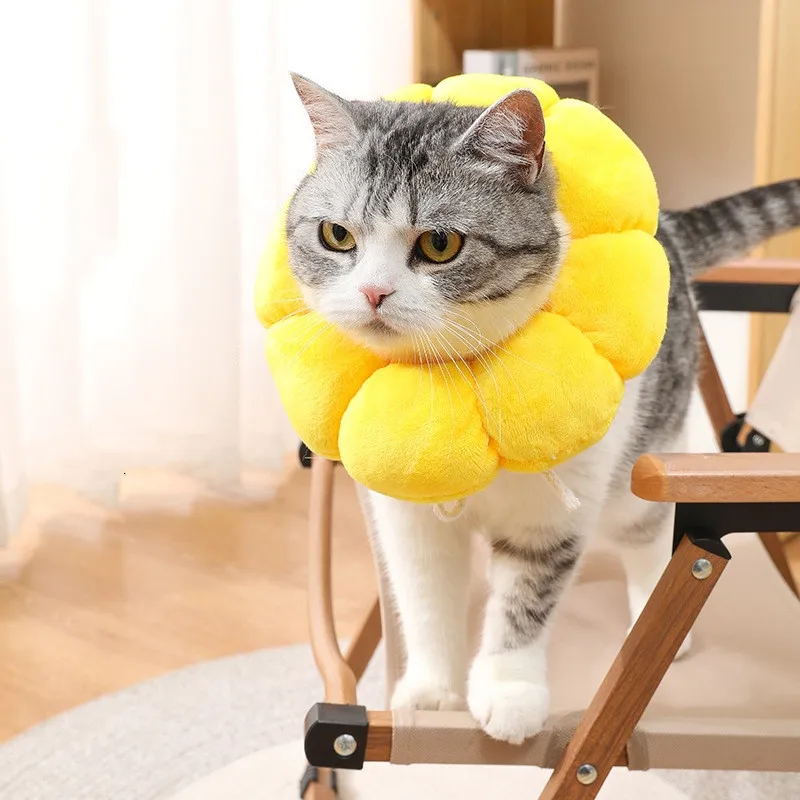 Cat Collar Pet Protective Collars for Dogs Cats Wound Healing Protection Elizabethan Collar Pet Cat Anti-bite Recovery Circle
Cat Collar Pet Protective Collars for Dogs Cats Wound Healing Protection Elizabethan Collar Pet Cat Anti-bite Recovery Circle