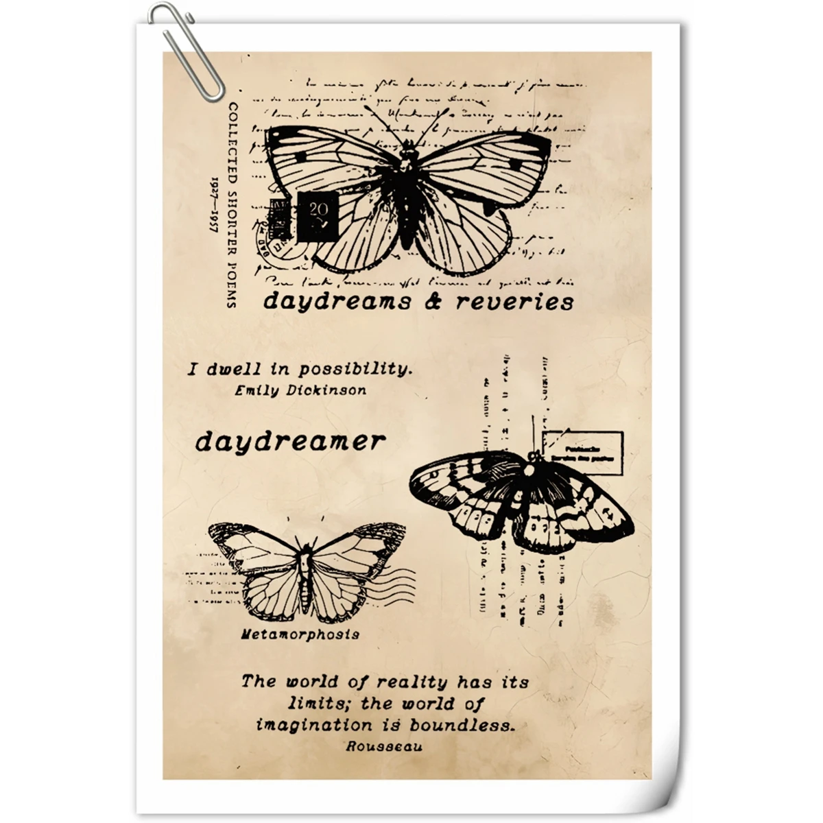 Butterfly Specimen Clear Silicone Stamps For DIY Scrapbooking Photo Album Embossing Rubber Stamping 2023 New Arrival 
Butterfly Specimen Clear Silicone Stamps For DIY Scrapbooking Photo Album Embossing Rubber Stamping 2023 New Arrival