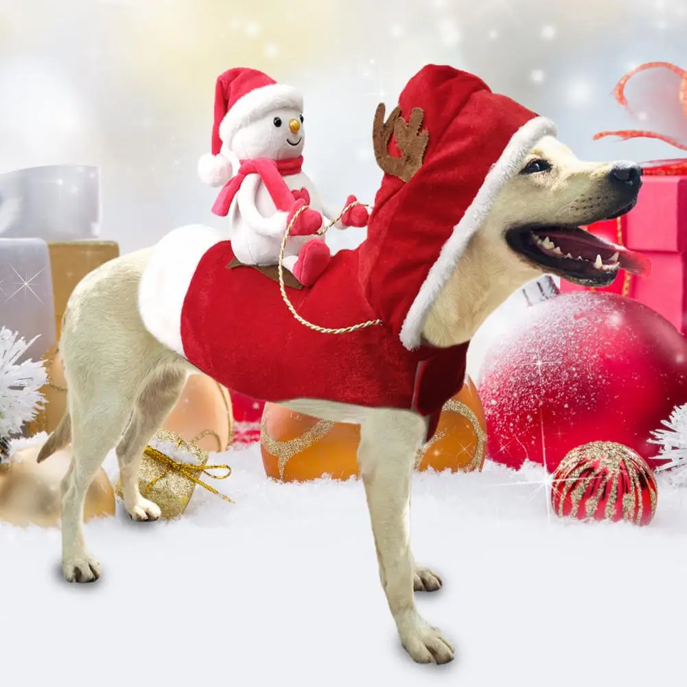 Functional Christmas Holding Gifts Pet Transformation Outfit Lightweight Pet Transformation Outfit Cute for Teddy
Functional Christmas Holding Gifts Pet Transformation Outfit Lightweight Pet Transformation Outfit Cute for Teddy