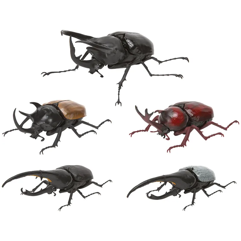 Original Bandai Gashapon Capsule Toys Cute Kawaii Miniature Models Hercules Stag Beetle 02 Big Bug Simulation Insects Figure
Original Bandai Gashapon Capsule Toys Cute Kawaii Miniature Models Hercules Stag Beetle 02 Big Bug Simulation Insects Figure