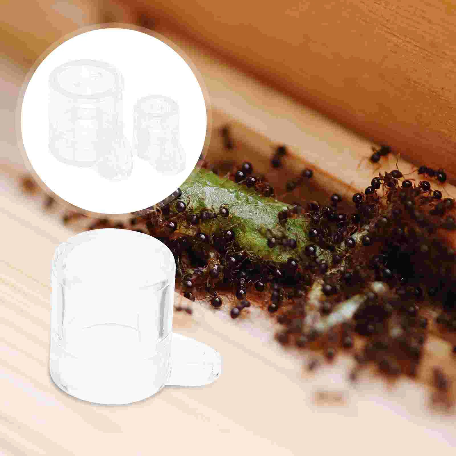 2pcs Ant Farm Accessory Feeder Feeder Ant Feeder Ant Feeder for Farm Laboratory 
2pcs Ant Farm Accessory Feeder Feeder Ant Feeder Ant Feeder for Farm Laboratory