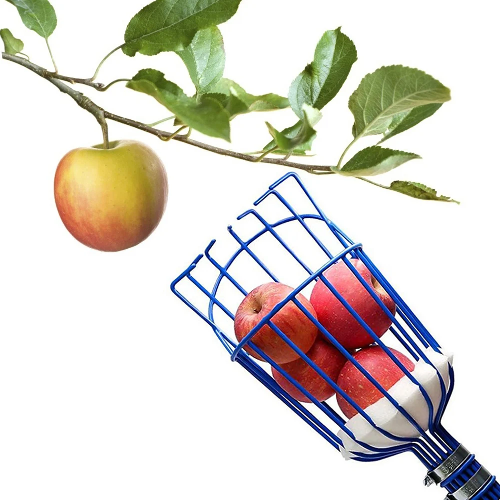 Detachable Fruit Picker Farm Carbon Steel Pear Peach Collection Picking Catcher Gardening Fruit Picking Head Tool
Detachable Fruit Picker Farm Carbon Steel Pear Peach Collection Picking Catcher Gardening Fruit Picking Head Tool