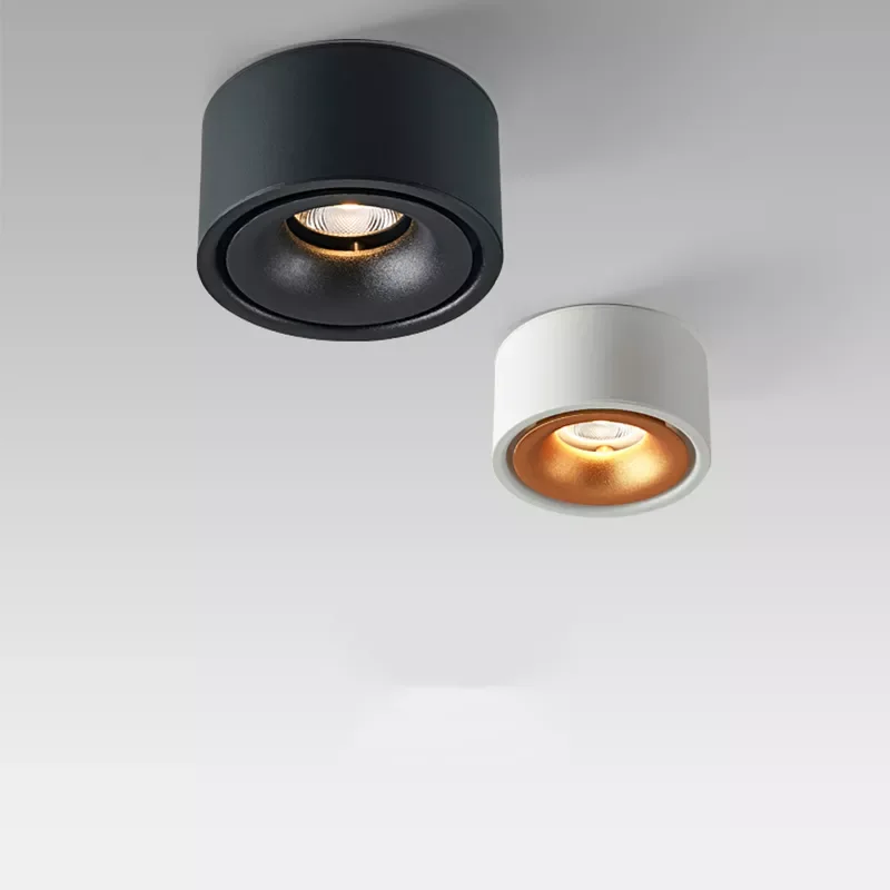 Downlight 220 volt LED spotlights dimmable 7W 10W 12W modern surface mount ceiling light tracking light kitchen living room
Downlight 220 volt LED spotlights dimmable 7W 10W 12W modern surface mount ceiling light tracking light kitchen living room