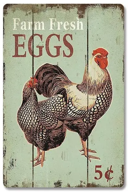 Farm Fresh Eggs Vintage Metal Tin Logo Funny Poster Home Wall Decoration 20x30cm'30x40cm
Farm Fresh Eggs Vintage Metal Tin Logo Funny Poster Home Wall Decoration 20x30cm'30x40cm