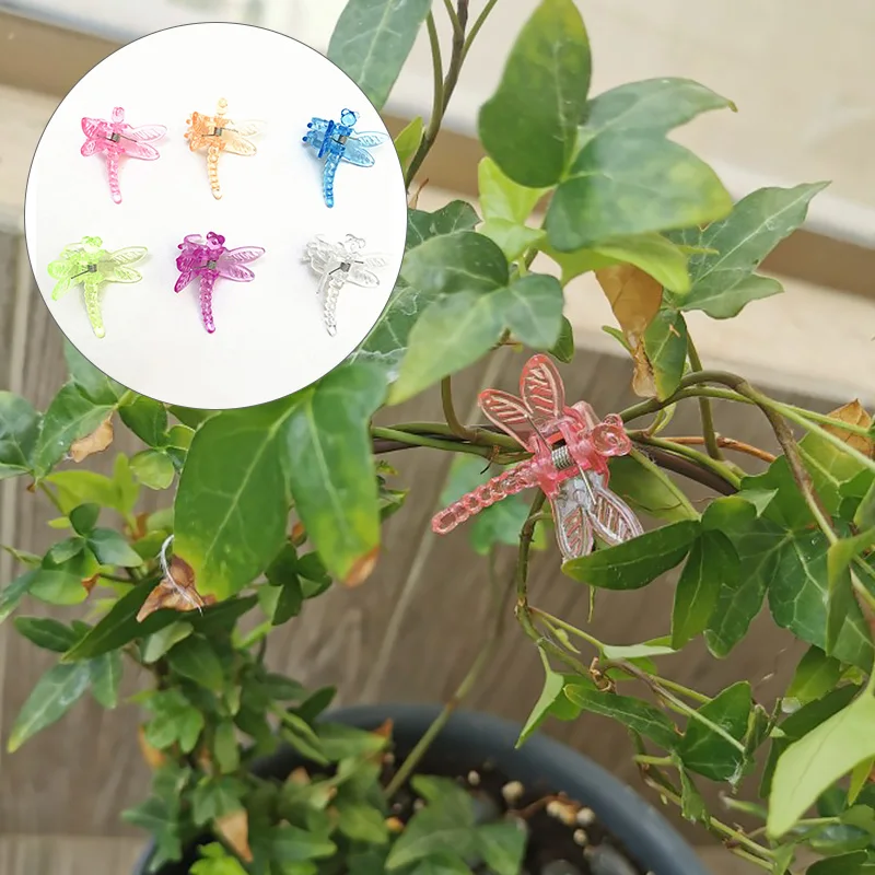 10Pcs Colorful Dragonfly Butterfly Plastic Vine Fix Clip Garden Plant Flower Vine Support Clips Garden Supplies Random Color New
10Pcs Colorful Dragonfly Butterfly Plastic Vine Fix Clip Garden Plant Flower Vine Support Clips Garden Supplies Random Color New