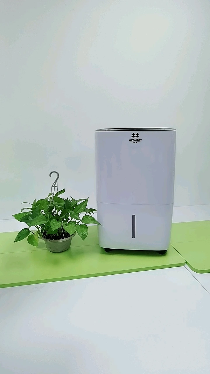 Electric Room Cabinet Deshumidificador 24L Dehumidifier 220v Small Wardrobe Air Dehumidifiers Dehumidifier Indoor Grow For Home
Electric Room Cabinet Deshumidificador 24L Dehumidifier 220v Small Wardrobe Air Dehumidifiers Dehumidifier Indoor Grow For Home
