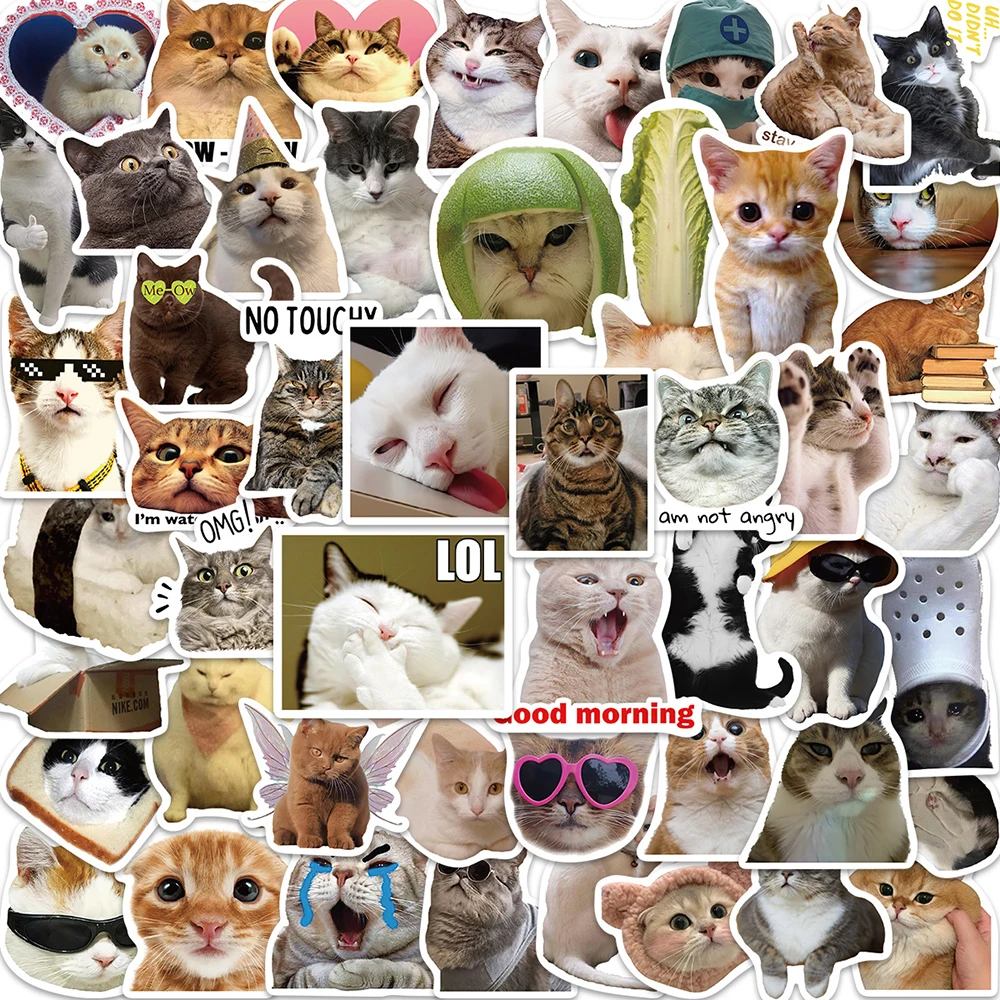 10/30/50PCS Cute Cat Meme Funny Stickers Aesthetic DIY Skateboard Laptop Helmet Phone Luggage Car Decal Graffiti Sticker Gift
10/30/50PCS Cute Cat Meme Funny Stickers Aesthetic DIY Skateboard Laptop Helmet Phone Luggage Car Decal Graffiti Sticker Gift