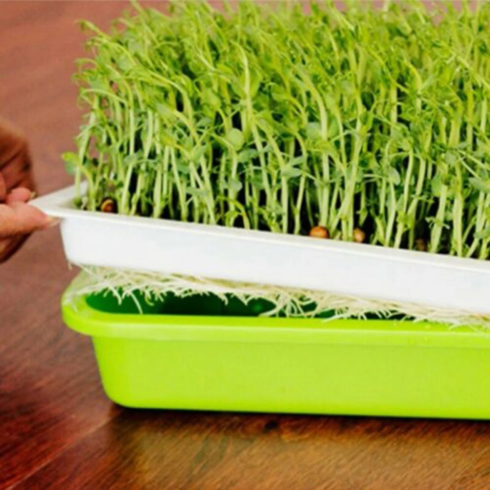 Seedling Tray Seed Starter Green Tray Double Layer Arc Soilless Cultivation For Gardening Bonsai Cat Grass Hydroponics 2022
Seedling Tray Seed Starter Green Tray Double Layer Arc Soilless Cultivation For Gardening Bonsai Cat Grass Hydroponics 2022