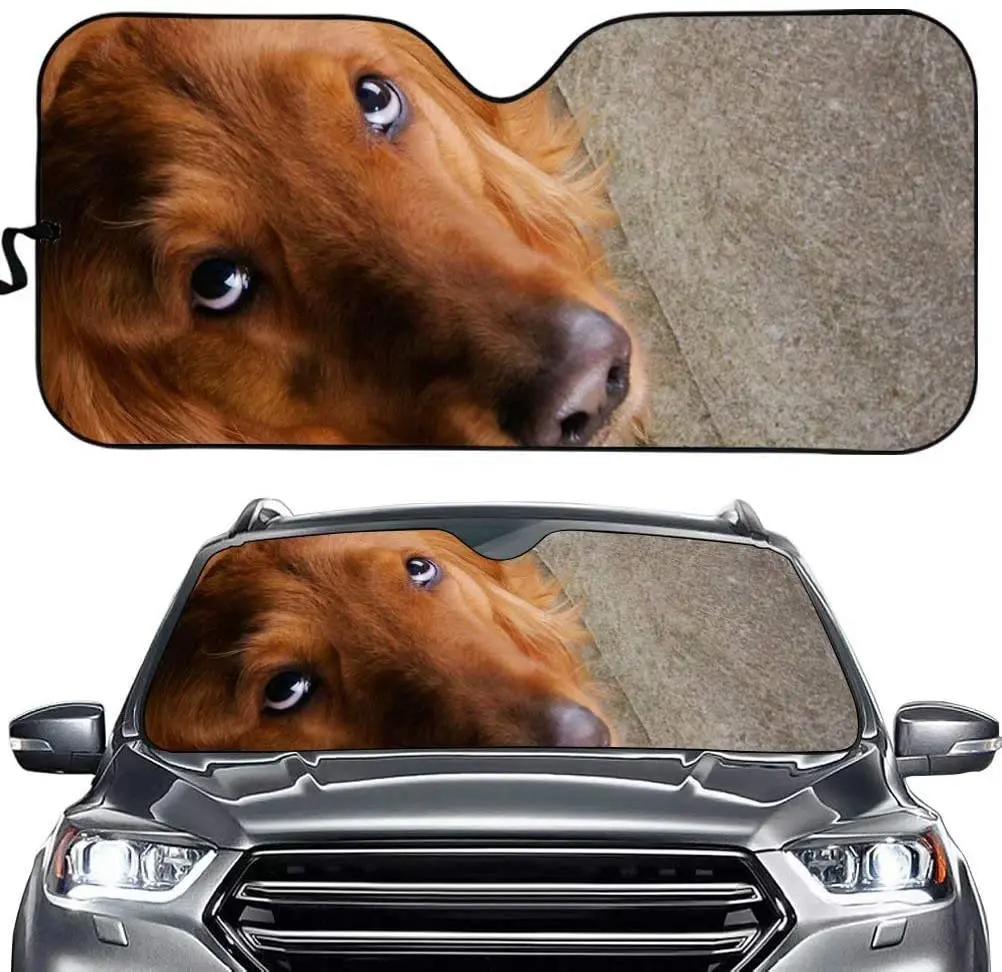 Cumagical Golden Retriever Foldable Front Windshield Sun Shade Car Front Window Sun Visor Personalized Animal Design Automotive
Cumagical Golden Retriever Foldable Front Windshield Sun Shade Car Front Window Sun Visor Personalized Animal Design Automotive
