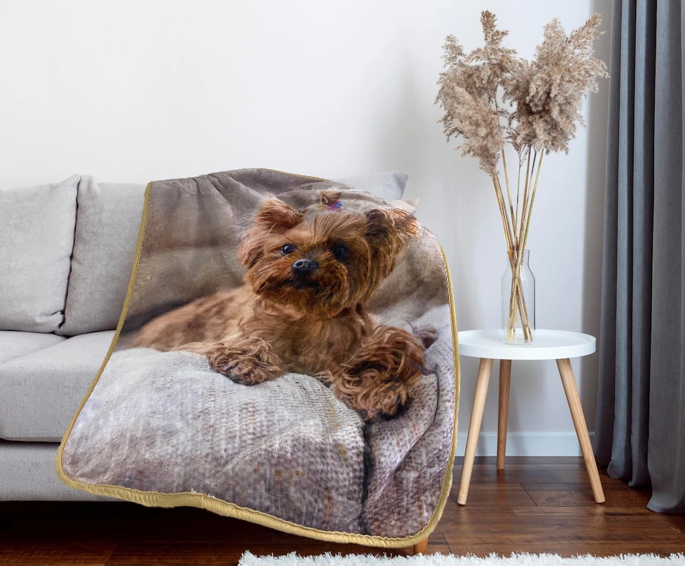 Bucephalus Fleece Dog Blanket Cover Waterproof Pet Blanket for couch,Bed, Thickened Warm Washable Funny Fuzzy Dog Blanket Throw 
Bucephalus Fleece Dog Blanket Cover Waterproof Pet Blanket for couch,Bed, Thickened Warm Washable Funny Fuzzy Dog Blanket Throw