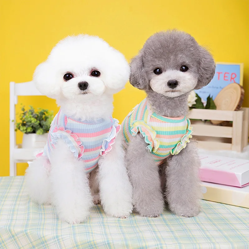 Summer Cat Skirt Color Striped Dog's Clothes Small Sweet Dog Princess Dress Spring Cute Flower Pattern Pretty Pet Dress
Summer Cat Skirt Color Striped Dog's Clothes Small Sweet Dog Princess Dress Spring Cute Flower Pattern Pretty Pet Dress
