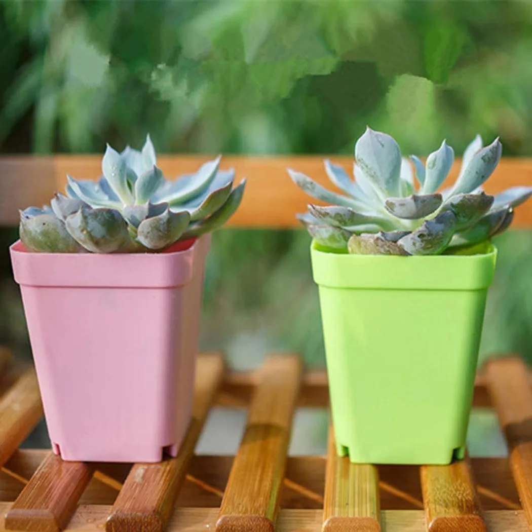 Kinderzimmertopf Blumentopf Flower Pot Nursery Pot Plastic Succulent Plant Container Farbmischung Garden Decor
Kinderzimmertopf Blumentopf Flower Pot Nursery Pot Plastic Succulent Plant Container Farbmischung Garden Decor