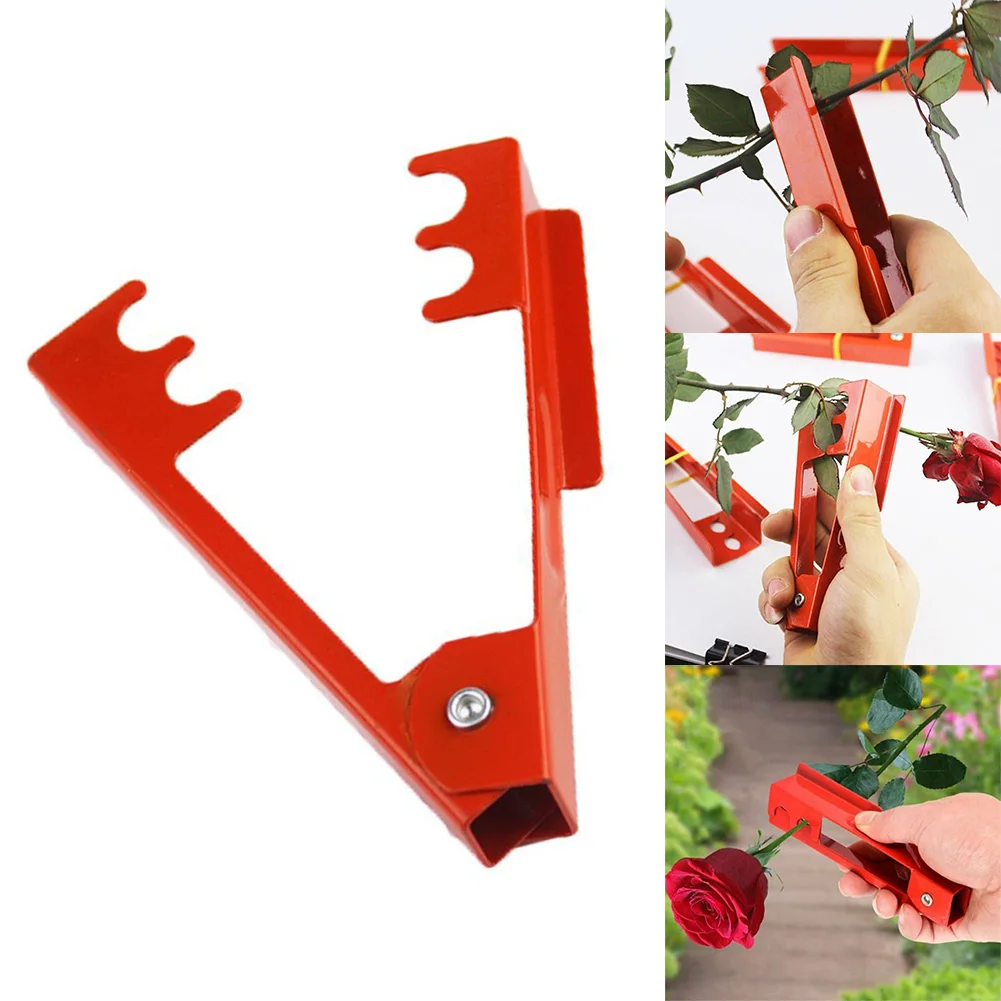 1pc Metal Thorn Remover Gardening Rose Stem Flower Floristry Stripper Thorn Leaf 14cm For Home Garden Hand Tools
1pc Metal Thorn Remover Gardening Rose Stem Flower Floristry Stripper Thorn Leaf 14cm For Home Garden Hand Tools