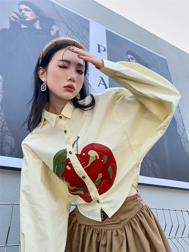 Vintage Apple Print Back Slit Cream Loose Bat Long Sleeve Shirt Spring Autumn Women Streetwear Chic Y2k Casual Top Blouses 1132
Vintage Apple Print Back Slit Cream Loose Bat Long Sleeve Shirt Spring Autumn Women Streetwear Chic Y2k Casual Top Blouses 1132