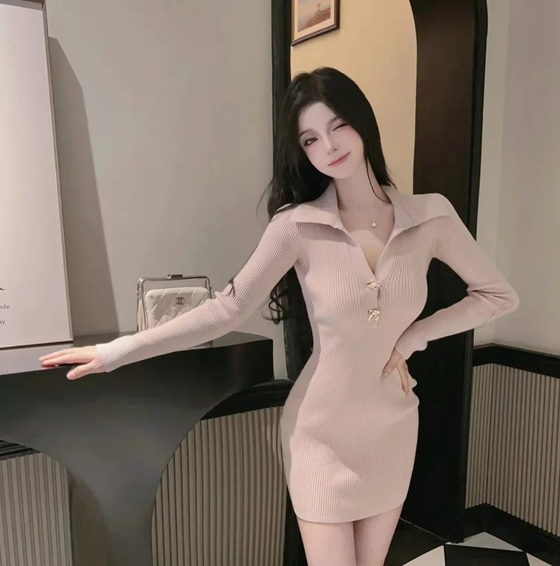 Fashion Sexy Polo Neck Long-sleeved Knitted Hip Dress Women 2022 Korea One Piece Dress Fall Explosion Black Slim Party Dress
Fashion Sexy Polo Neck Long-sleeved Knitted Hip Dress Women 2022 Korea One Piece Dress Fall Explosion Black Slim Party Dress