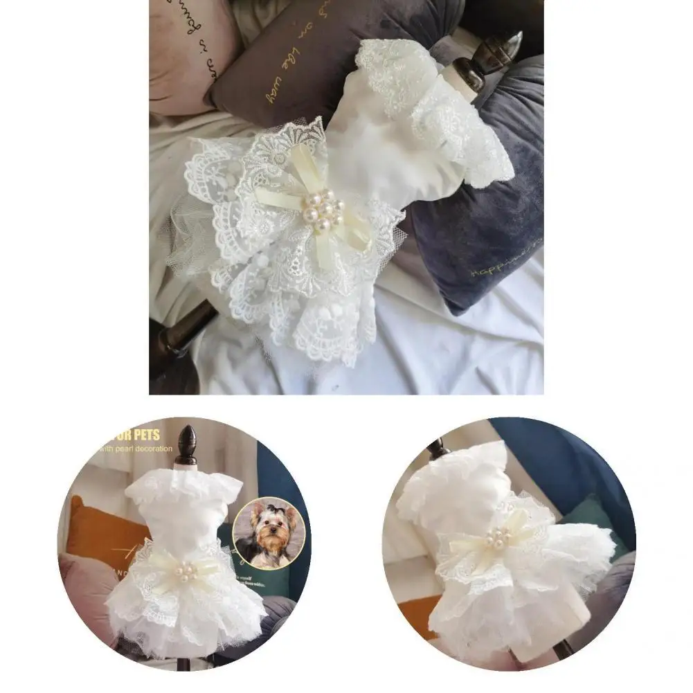 Dog Skirt Cute White Soft Pearl Lace Dog Clothing for Photography Pet Skirt Dog Dress
Dog Skirt Cute White Soft Pearl Lace Dog Clothing for Photography Pet Skirt Dog Dress