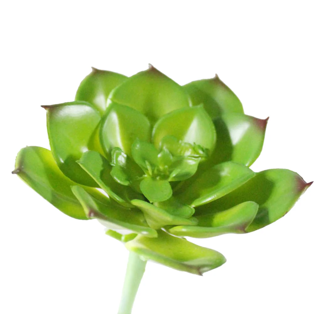 1pc Ornaments Decorative Artificial Lifelike Succulent Ornaments Lotus Plants for Home
1pc Ornaments Decorative Artificial Lifelike Succulent Ornaments Lotus Plants for Home