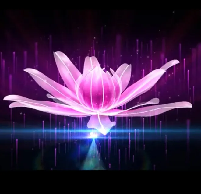 3D Holographic Fan Video 3D Display Advertising logo Light Lamp Advertising Display Logo Projector 3D Fan Video Flower Plant
3D Holographic Fan Video 3D Display Advertising logo Light Lamp Advertising Display Logo Projector 3D Fan Video Flower Plant